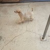 生涯家族の一員と約束して頂ける方！ サムネイル3