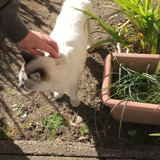 年齢はいってますが、元気で可愛いです！