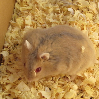 ちょっとストップ