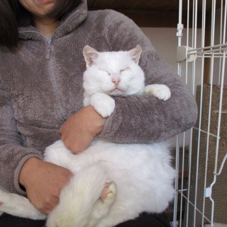 余生をの～んびりまったり癒しのタマちゃん