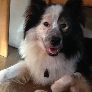 明るく可愛い男の子結生(ゆい)です。