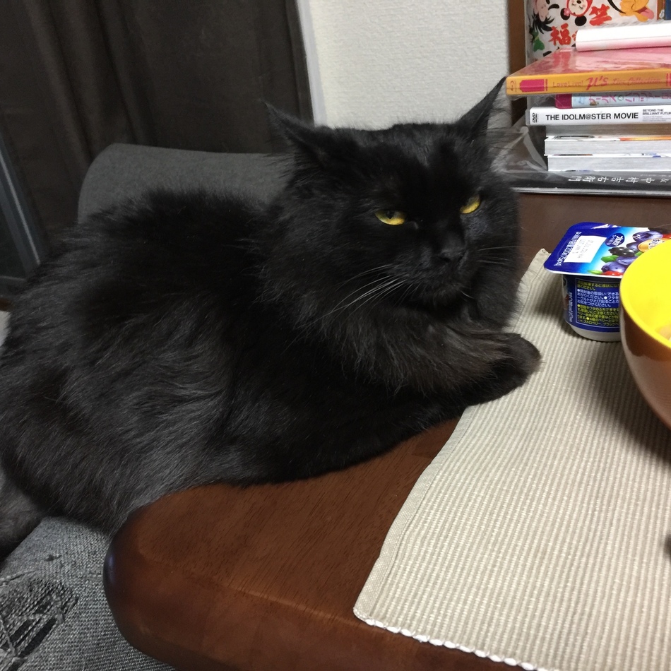 もずくのカバー写真