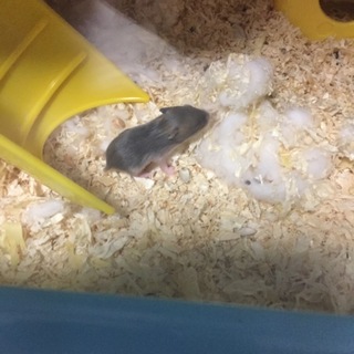 只今交渉中の為一度中止します！