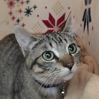 募集一時停止中☆空君