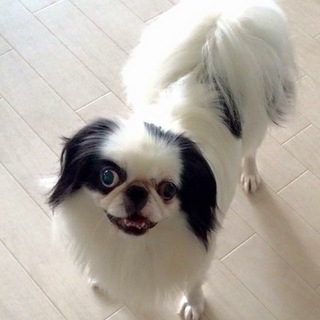 男前の渉(わたる)くん☆チン☆