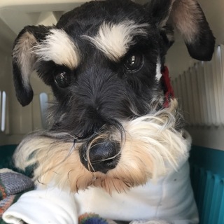 少し怖がりで甘えたな男の子♪