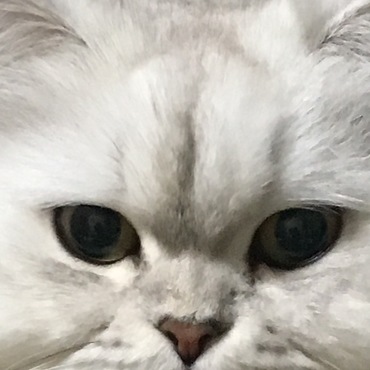 ドアップです。(´ω｀)