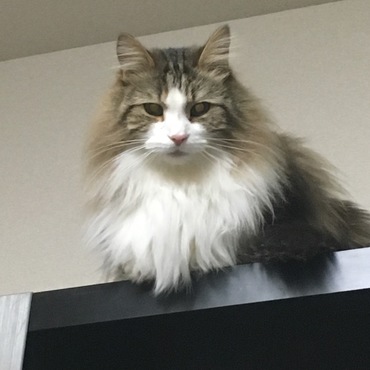 見下ろしてます。(￣∀￣)