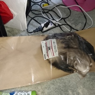 たくさんの応募ありがとうございます。