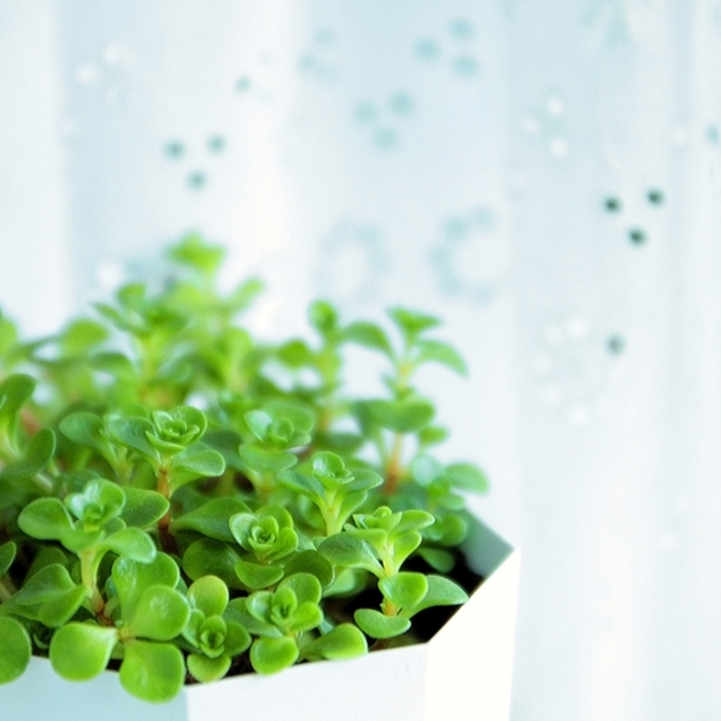 gla013のカバー写真