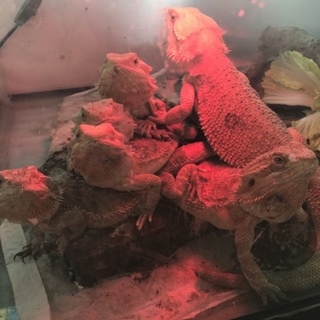 よろしくお願いします。生後一年