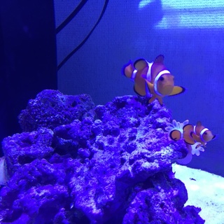 たくさんの応募、本当に心より感謝しています！！！