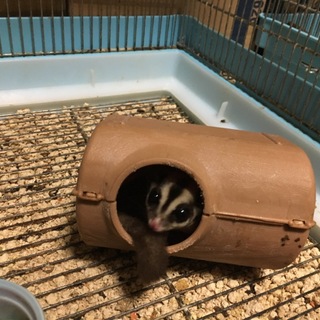 たくさんのご応募、心より感謝いたします！！