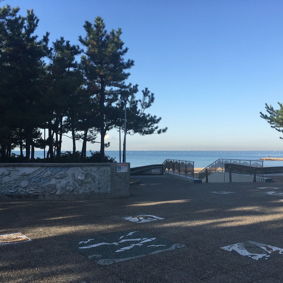 迫田 ヒョイのカバー写真