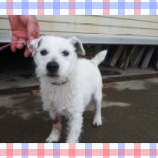 お迎えがありました