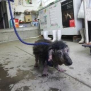 疥癬を治してからの再募集となりました