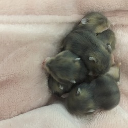 目が開いてきたよ(^^)