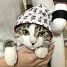 おまめ29 さん