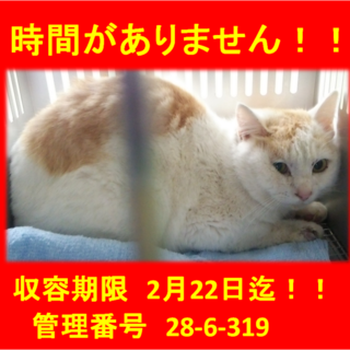 里親決定！！家族ができました(*´▽｀*)