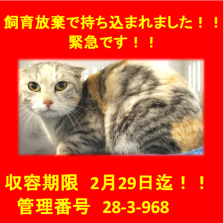 里親決定！！家族ができました(*´▽｀*)