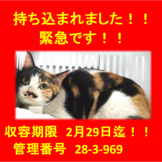 里親決定！！家族ができました(*´▽｀*)