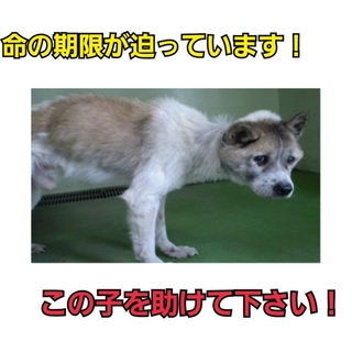 時間がありません!!家族になってくれませんか。