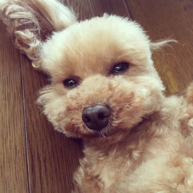 HIDE22320910のカバー写真