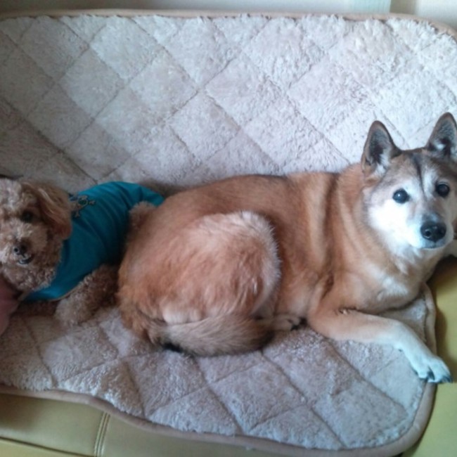 RIKO.Kのカバー写真