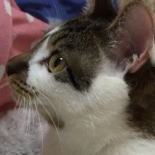 明るく穏やか人間が大好きなエル君です!