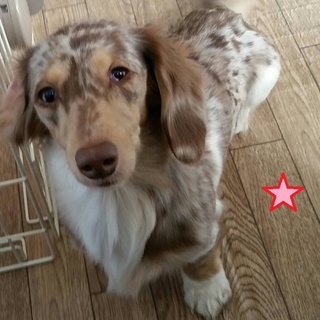 とっても甘えん坊な”ミルカちゃん”♪