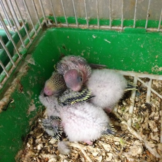 ③たくさんのご応募ありがとうございました！