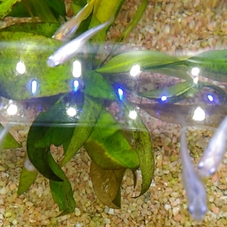 里親様決定(^^♪