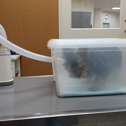 ちょっと大きくなった？？