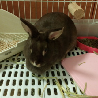 沢山のご応募ありがとうございました。