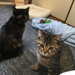 2週間がたちました