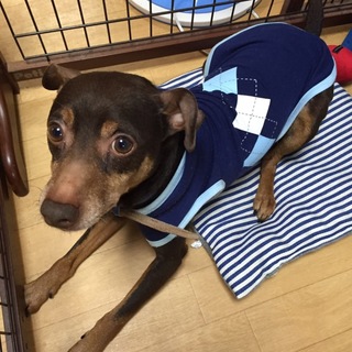 お願い致します