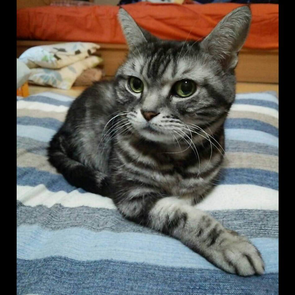 ジルのカバー写真
