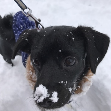 雪遊び中に撮影