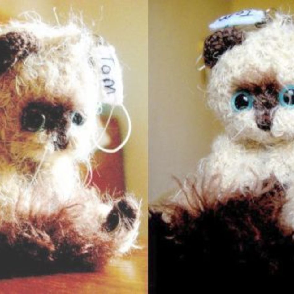 トムのカバー写真