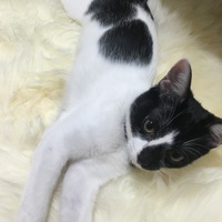 こたろう