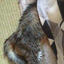 ナコさんおもしろ画像集