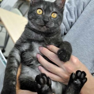 銀色スモーク★ミナミちゃん