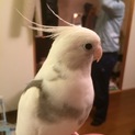 里親さん募集しています。