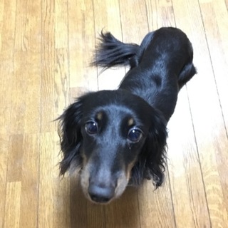 控え目な女の子です☆