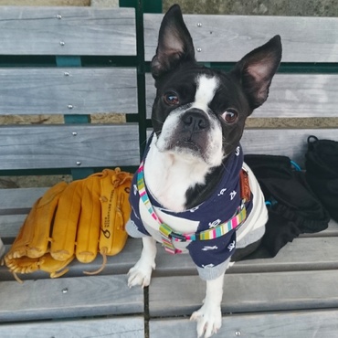 ボールガールでーす