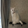 の写真