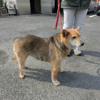 母と子また一緒に暮せます！！