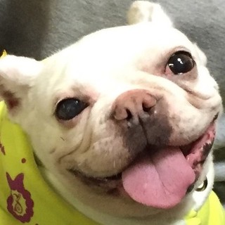 家族が決まりました