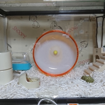 ジジのお部屋