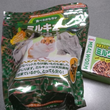 ミルキューとミルワーム(生タイプだけど、勇気がいるよ〜(´д｀|||))